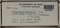 Image Associated With the Occurence